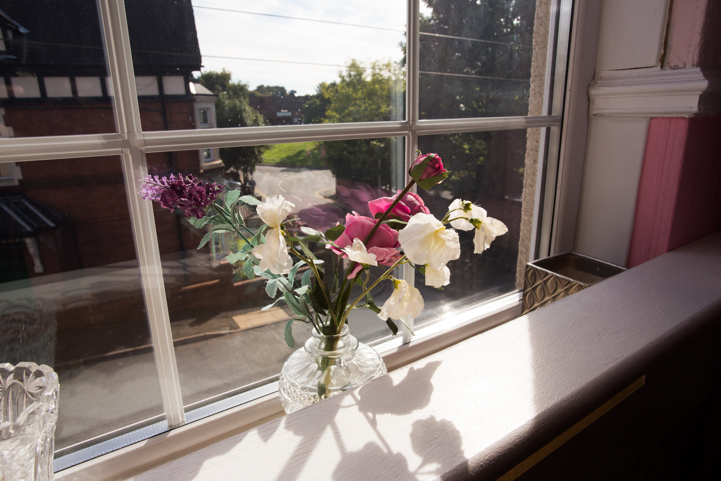 Flowers on a windowsill looking out over brick houses